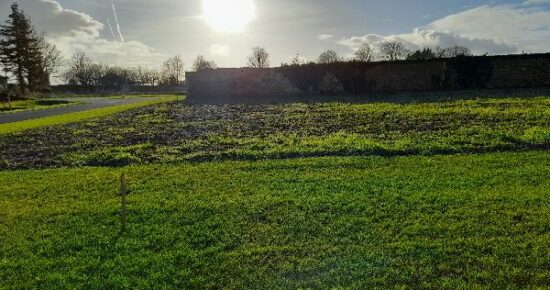 Terrain constructible Cognac  (Charente 16)