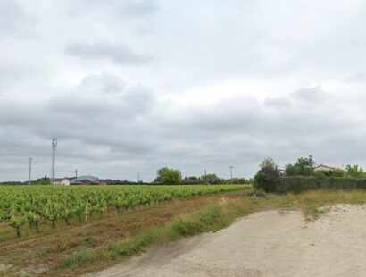 Terrain vu sur les vignes en plein centre bourg