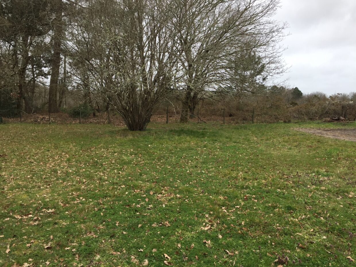 Terrain constructible Margaux-cantenac  (Gironde 33)