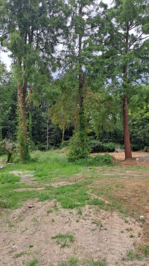 Terrain constructible Gradignan  (Gironde 33)