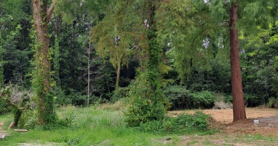 Terrain constructible Gradignan  (Gironde 33)