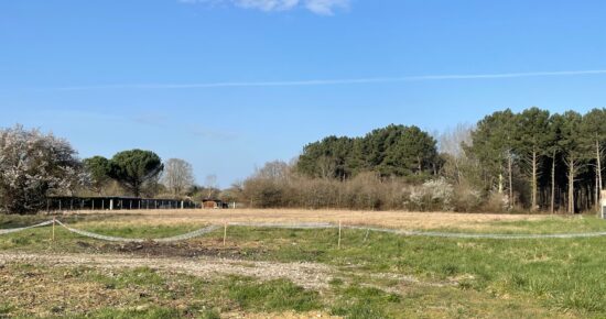Terrain constructible Cars  (Gironde 33)