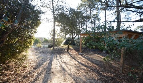 Terrain constructible Lacanau océan  (Gironde 33)