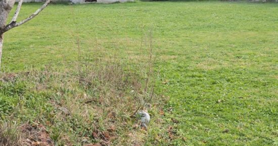 Terrain constructible Biscarrosse  (Landes 40)