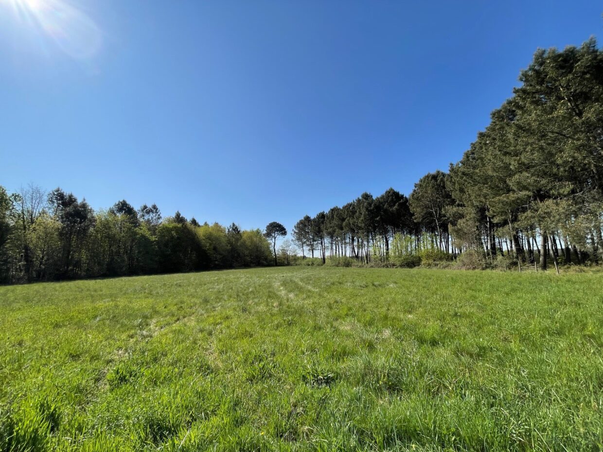 Terrain constructible Montguyon  (Charente-Maritime 17)