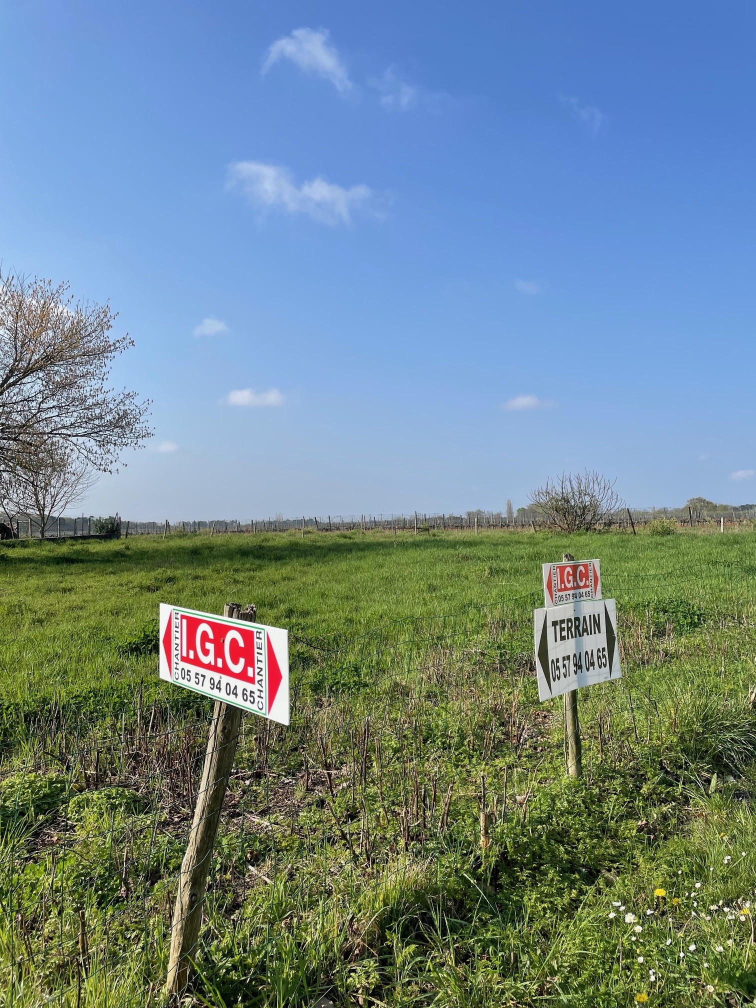 Terrain constructible Berson  (Gironde 33)