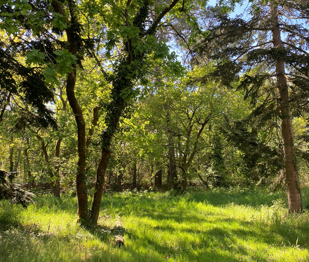 Terrain constructible Gujan-mestras  (Gironde 33)