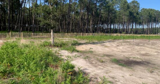 Terrain constructible Vielle-saint-girons  (Landes 40)