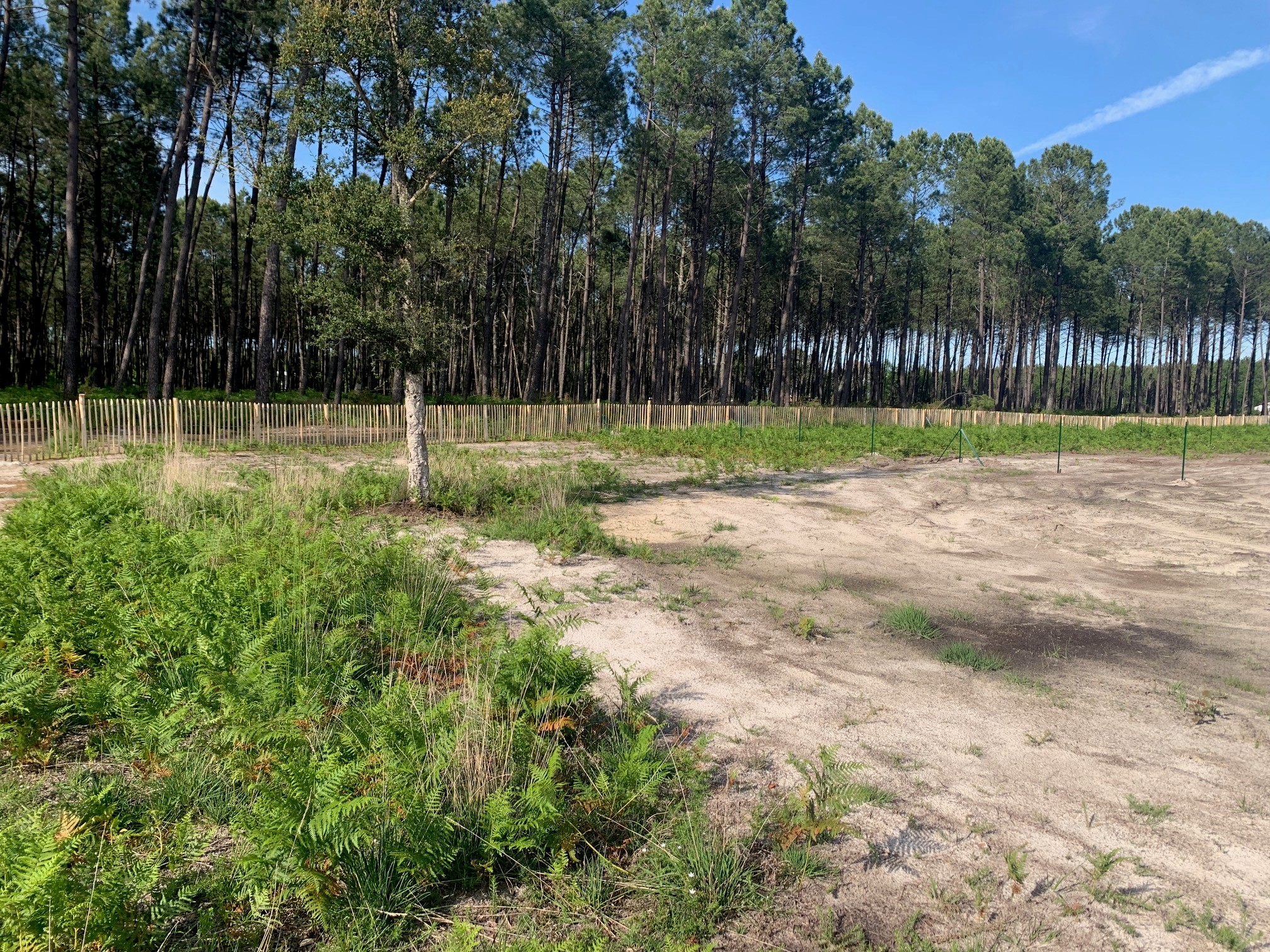 Terrain constructible Vielle-saint-girons  (Landes 40)
