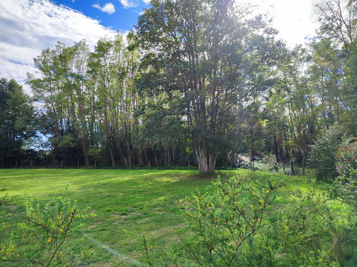 Maison avec terrain Linxe  (Landes 40)