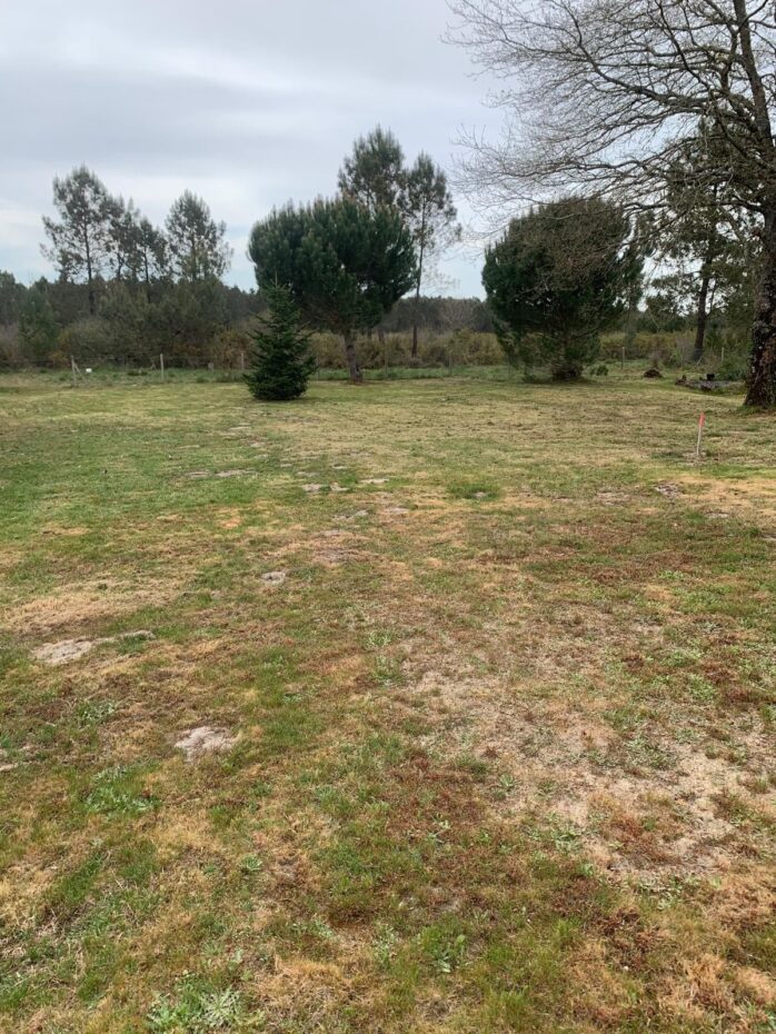 Terrain constructible Lüe  (Landes 40)