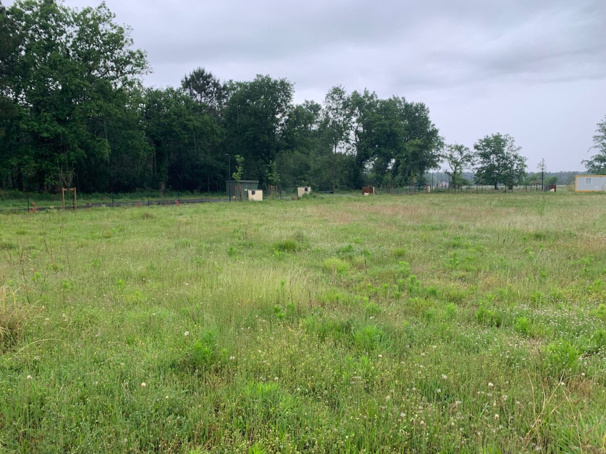 Terrain constructible Saint-michel-escalus  (Landes 40)