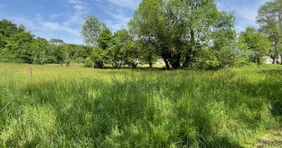 Terrain constructible Reignac  (Gironde 33)