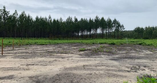 Terrain constructible Linxe  (Landes 40)