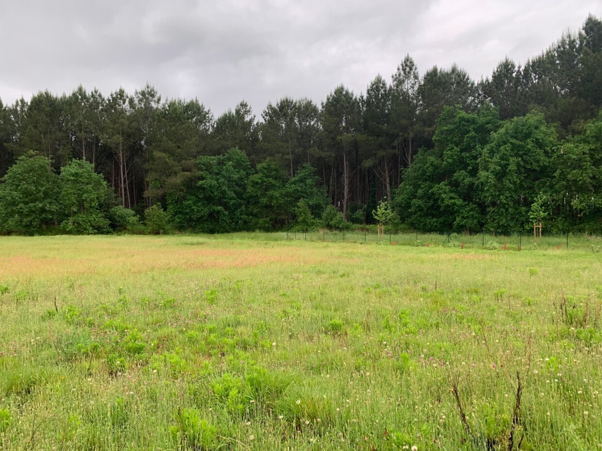 Maison avec terrain Saint-michel-escalus  (Landes 40)