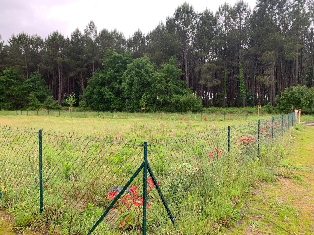 Terrain constructible Saint-michel-escalus  (Landes 40)