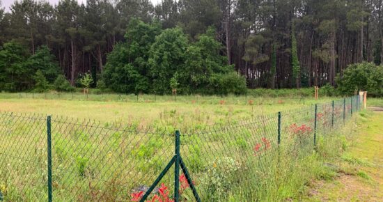 Terrain constructible Saint-michel-escalus  (Landes 40)