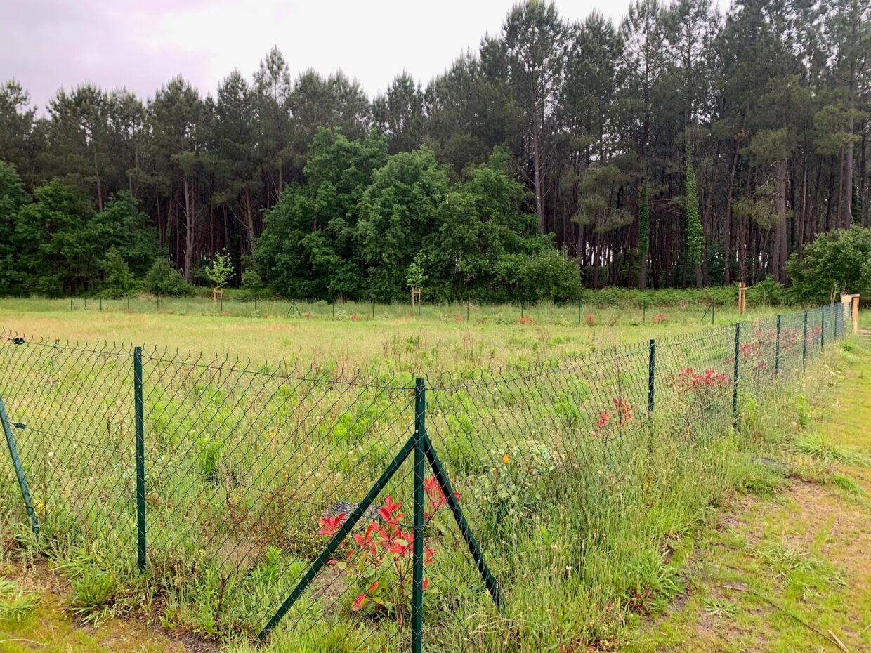 Maison avec terrain Saint-michel-escalus  (Landes 40)