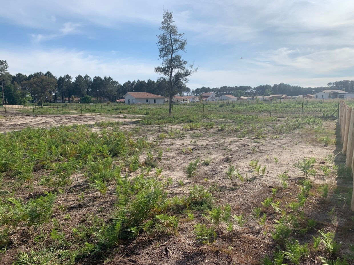 Terrain constructible Vielle-saint-girons  (Landes 40)