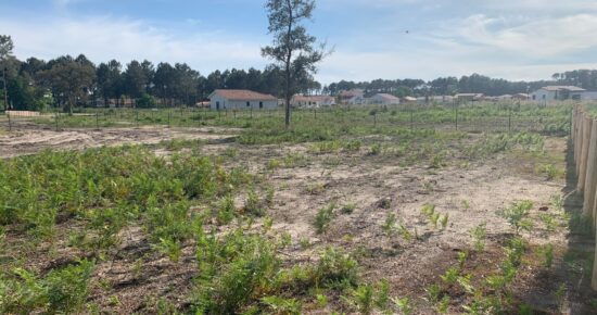 Terrain constructible Vielle-saint-girons  (Landes 40)