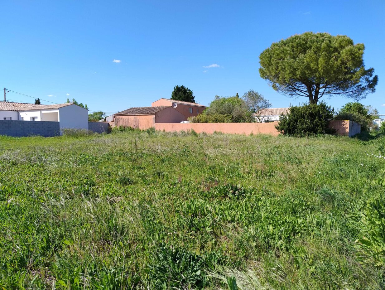 Terrain constructible Bourgneuf  (Charente-Maritime 17)