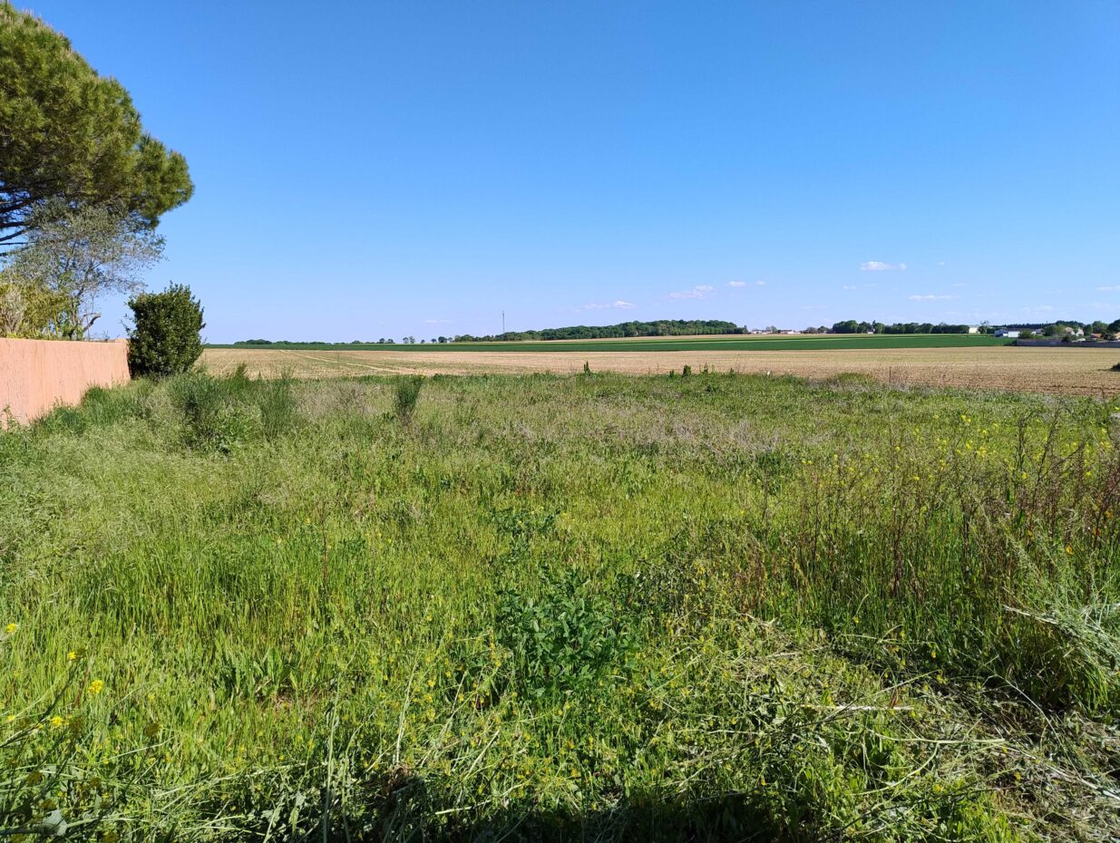 Terrain constructible Bourgneuf  (Charente-Maritime 17)
