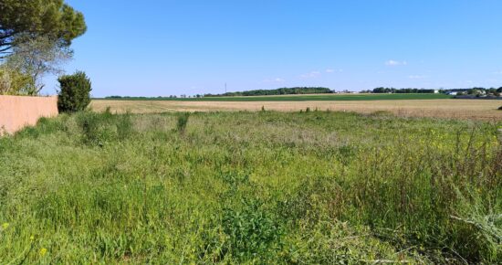 Terrain constructible Bourgneuf  (Charente-Maritime 17)