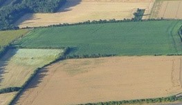 Terrain constructible Ferrières  (Charente-Maritime 17)