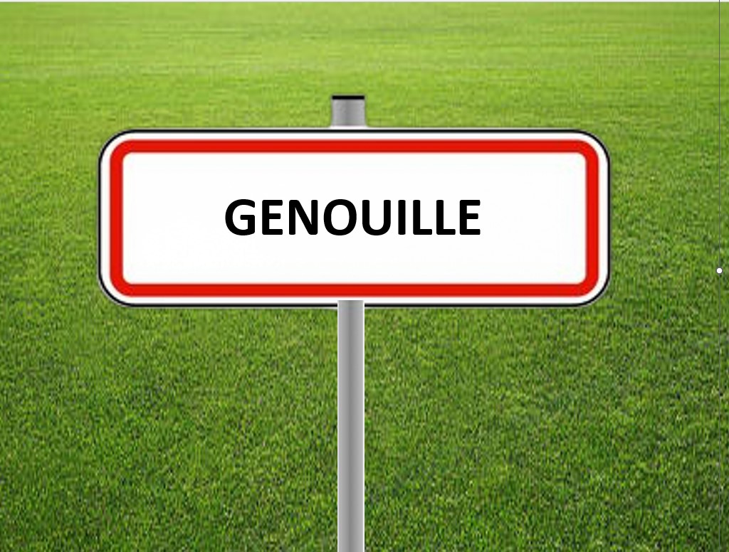 Terrain constructible Genouillé  (Charente-Maritime 17)