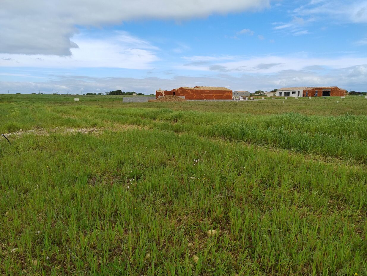 Terrain constructible L'houmeau  (Charente-Maritime 17)
