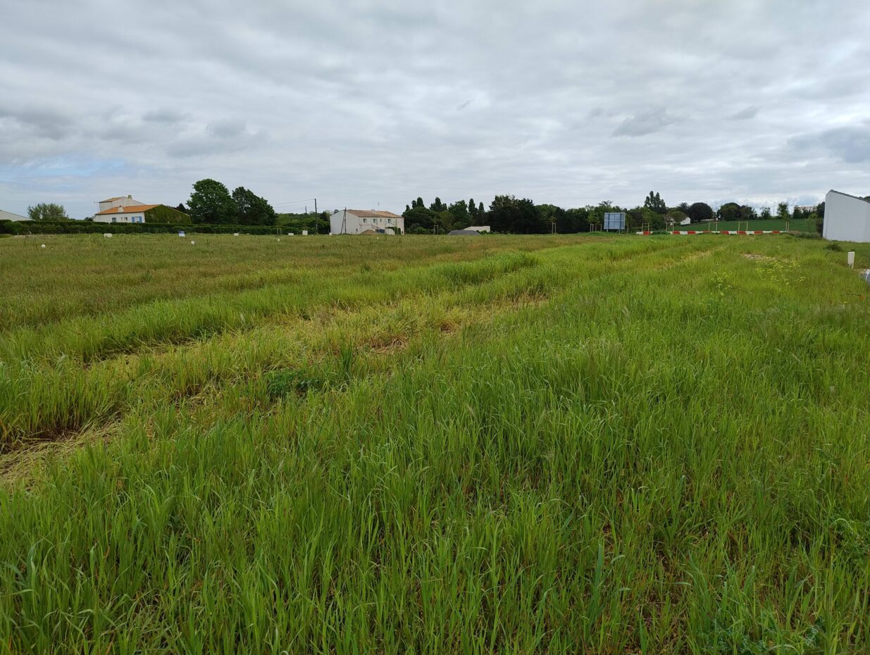 Terrain constructible L'houmeau  (Charente-Maritime 17)