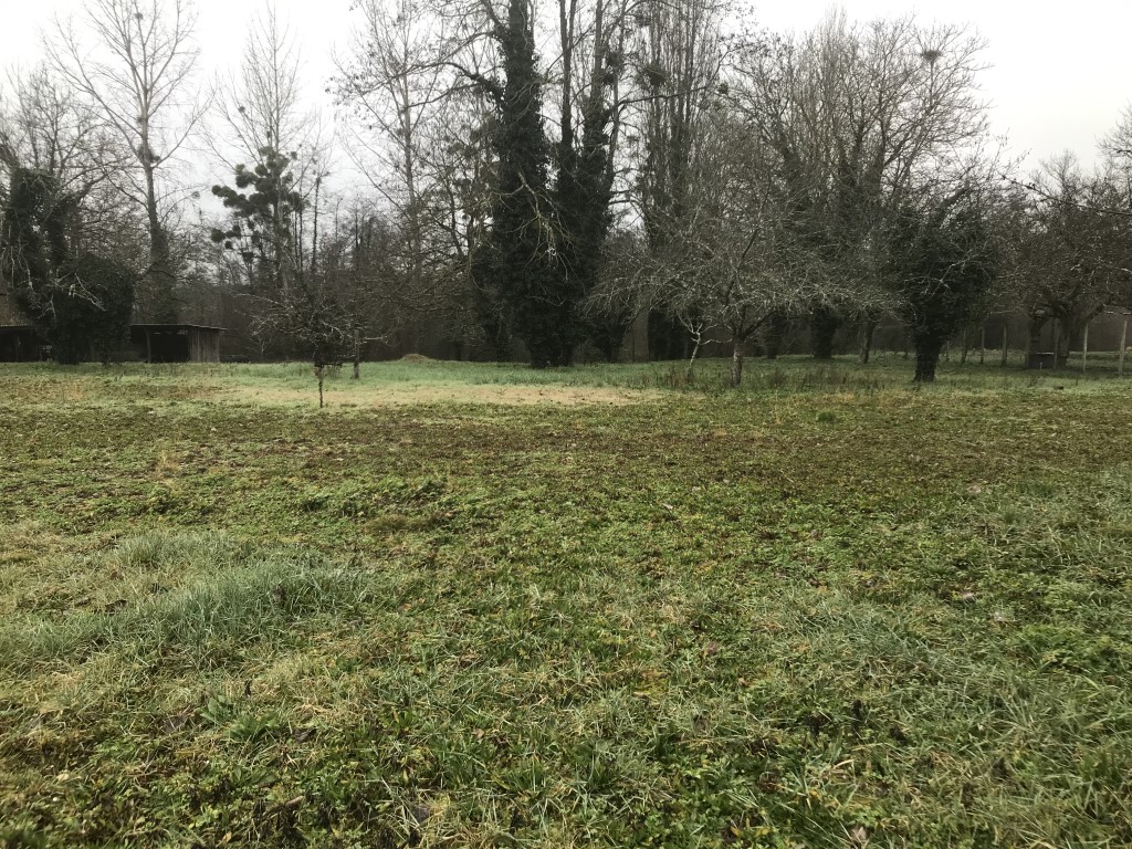 Terrain constructible Barsac  (Gironde 33)