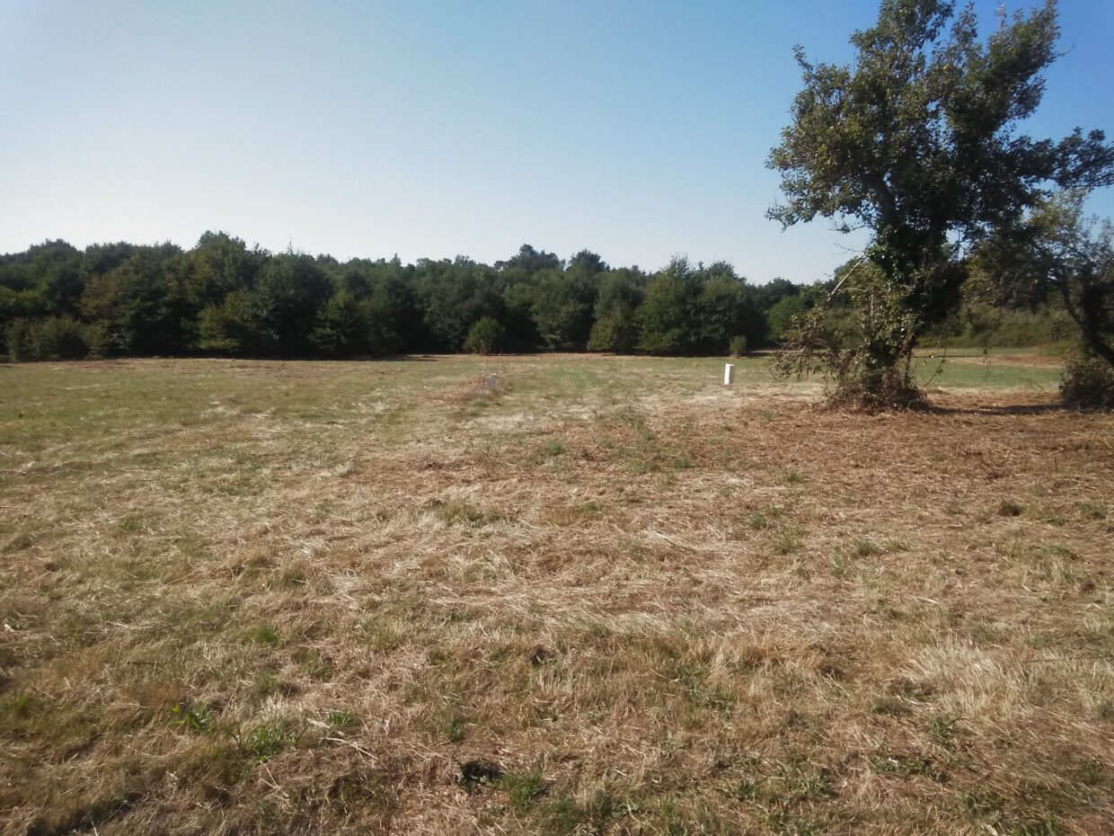 Terrain constructible Lagorce  (Gironde 33)