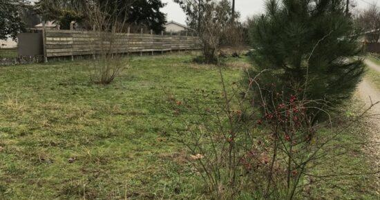 Terrain constructible Cérons  (Gironde 33)