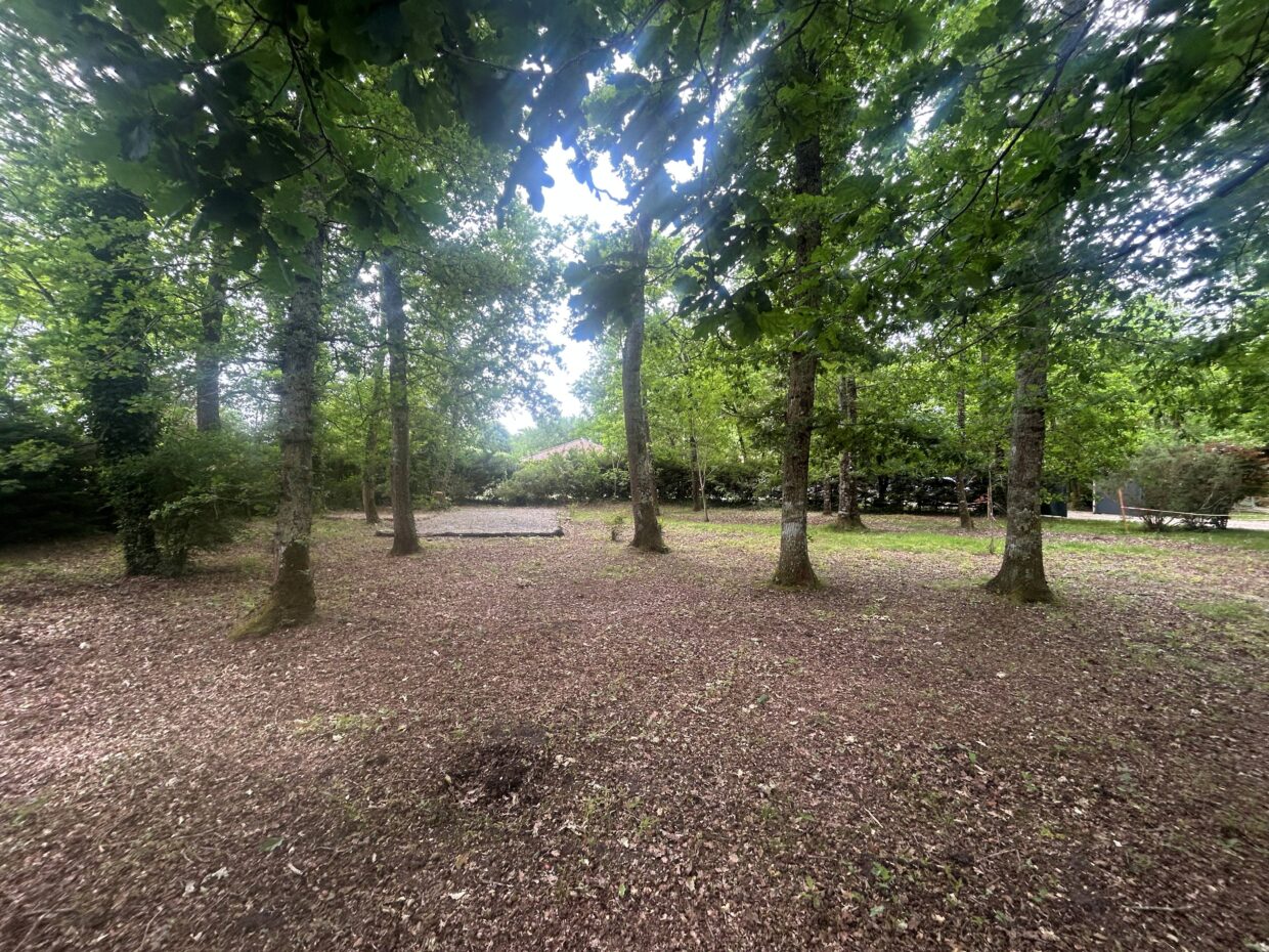 Terrain constructible Hourtin  (Gironde 33)