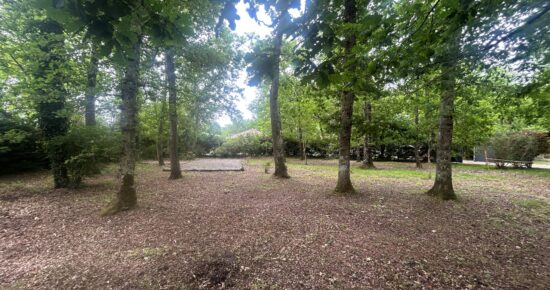 Terrain constructible Hourtin  (Gironde 33)