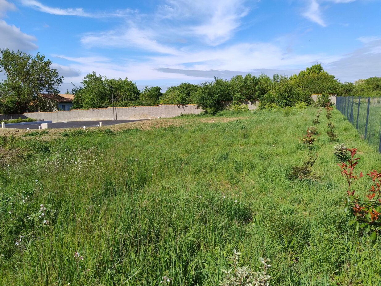 Terrain constructible Lagord  (Charente-Maritime 17)