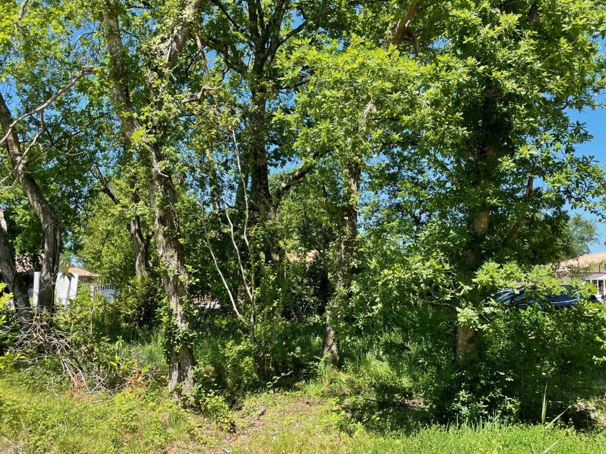 Terrain constructible Lacanau  (Gironde 33)