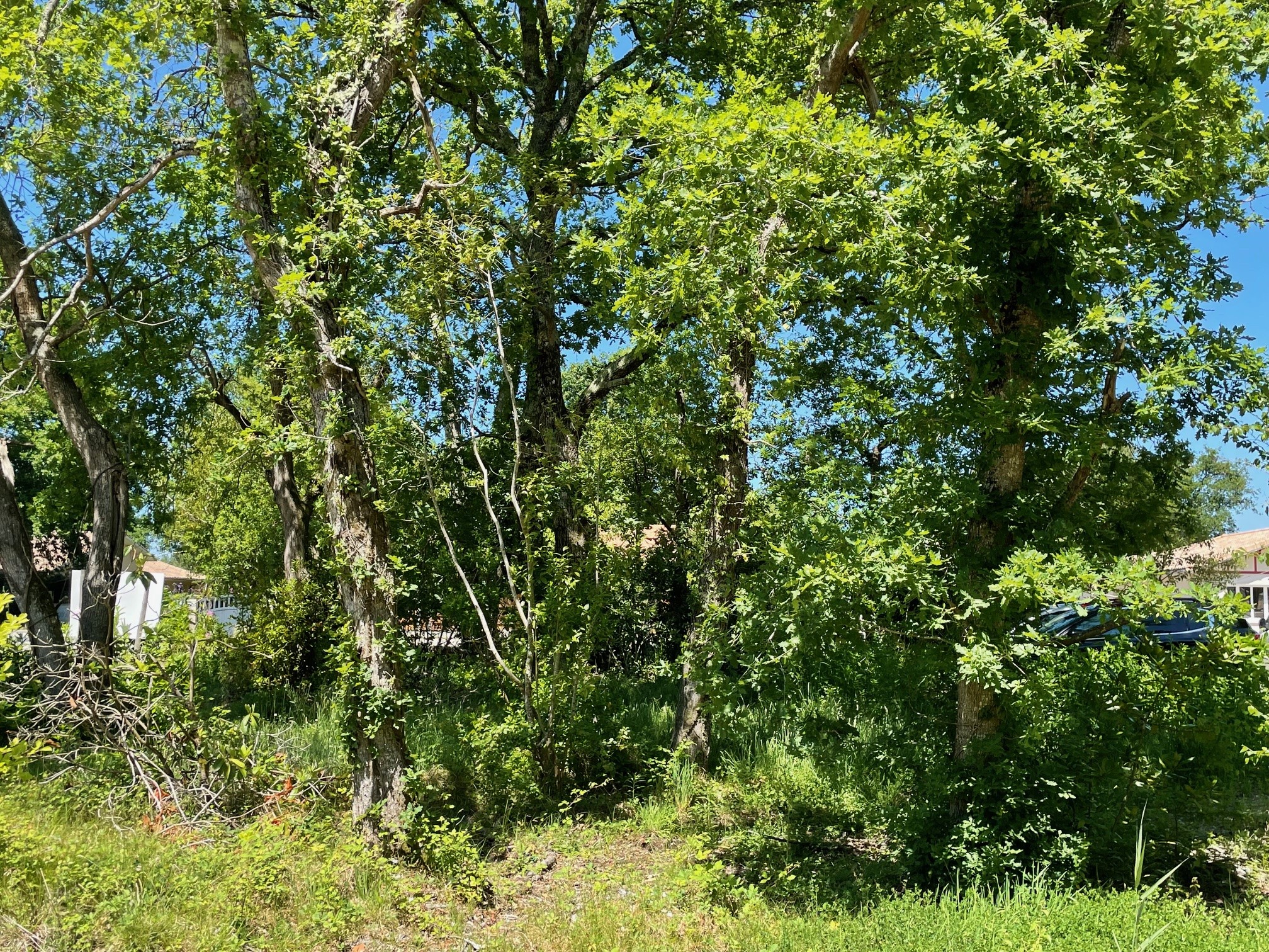 Terrain constructible Lacanau  (Gironde 33)