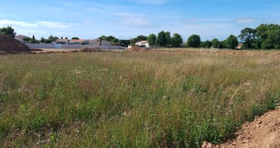 Terrain constructible Port-des-barques  (Charente-Maritime 17)