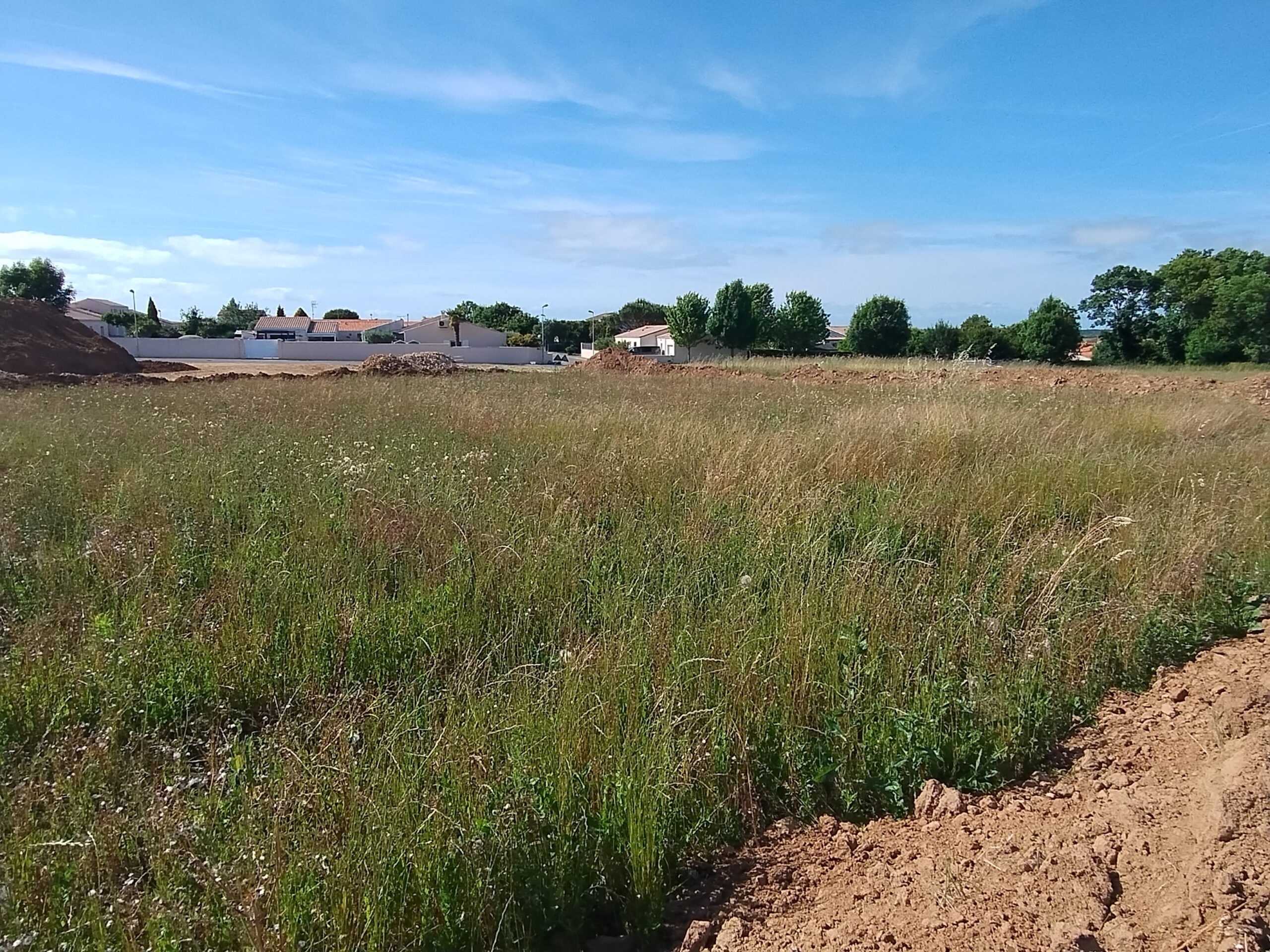 Terrain constructible Port-des-barques  (Charente-Maritime 17)