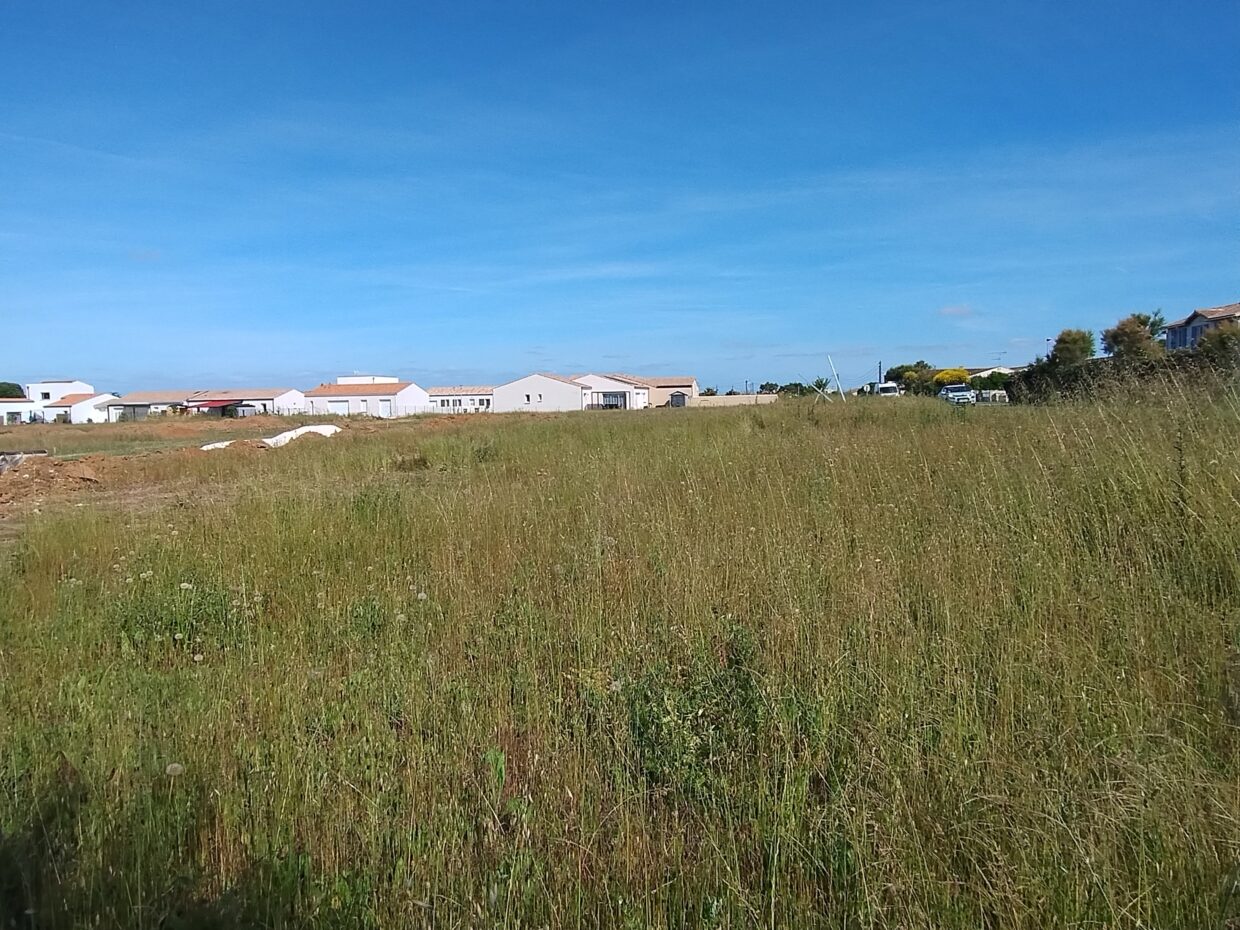 Terrain constructible Port-des-barques  (Charente-Maritime 17)