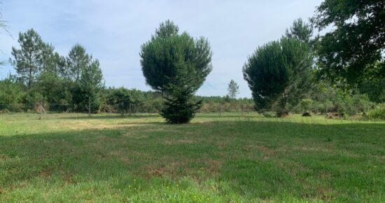 Terrain constructible Lüe  (Landes 40)