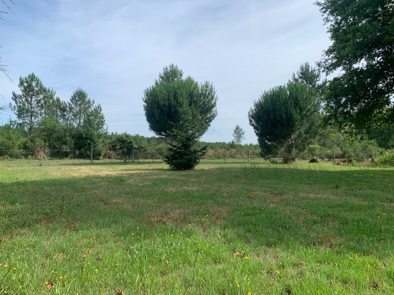 Maison avec terrain Lüe  (Landes 40)