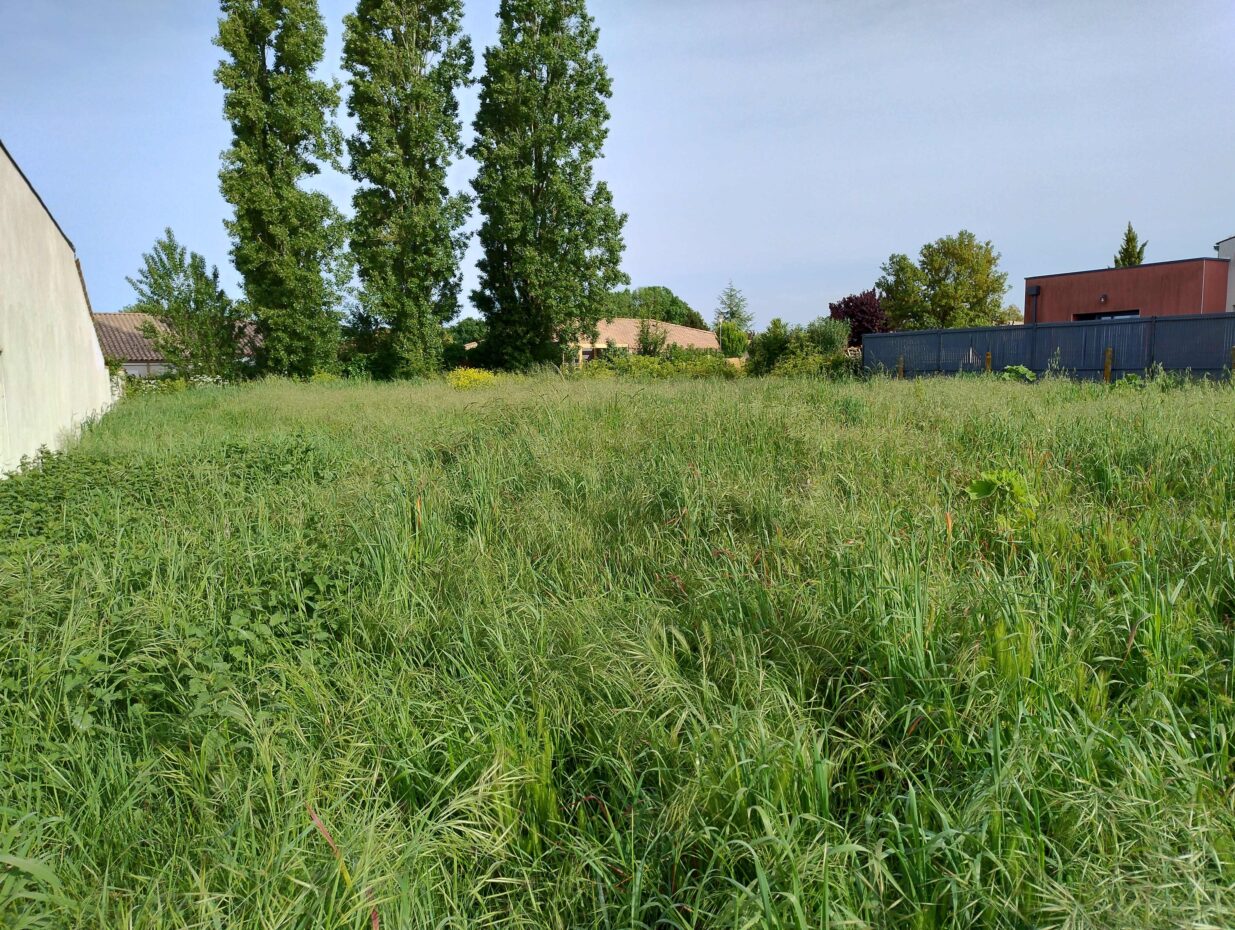 Terrain constructible Saint-laurent-de-la-prée  (Charente-Maritime 17)