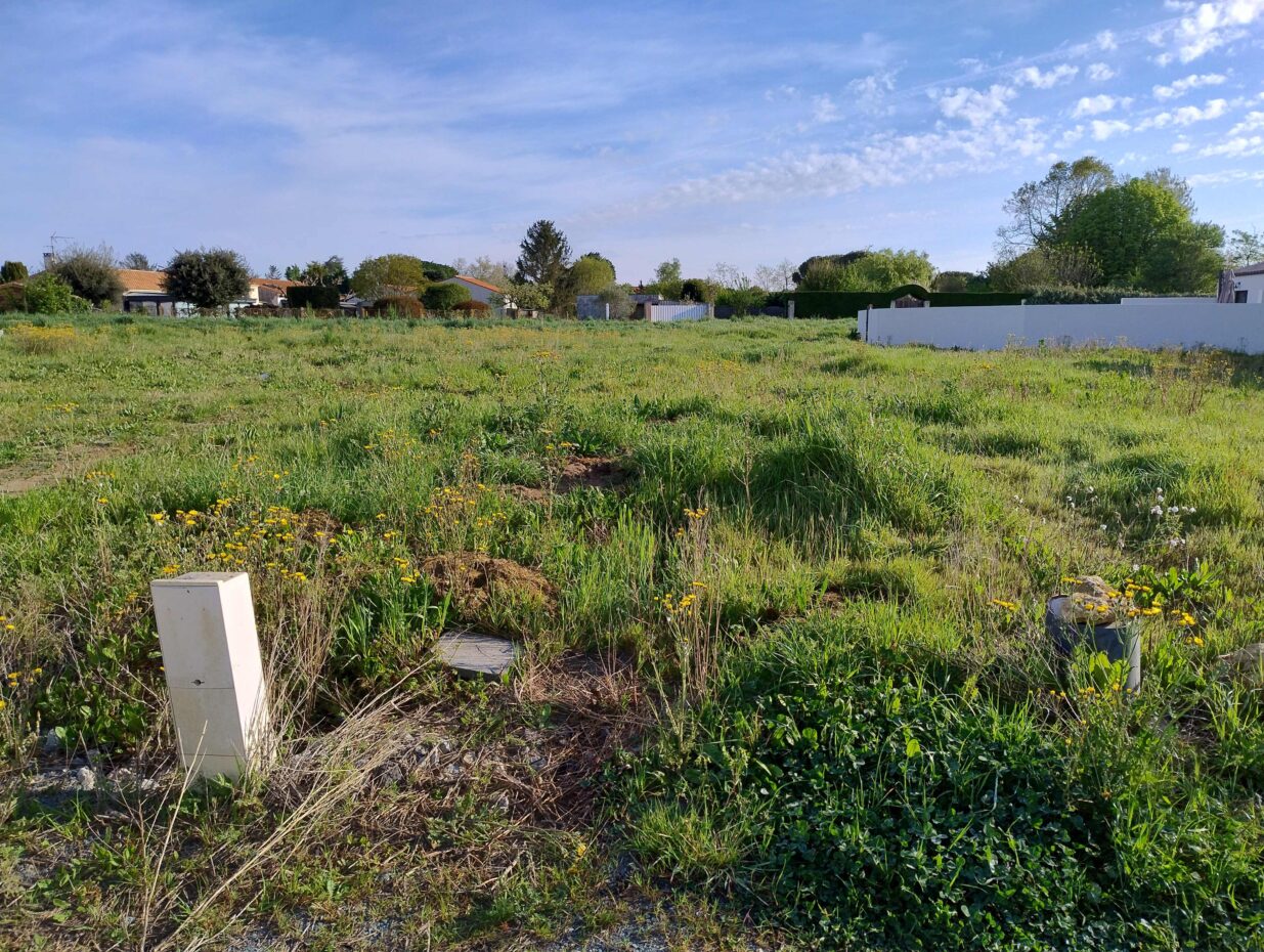 Terrain constructible Saint-laurent-de-la-prée  (Charente-Maritime 17)
