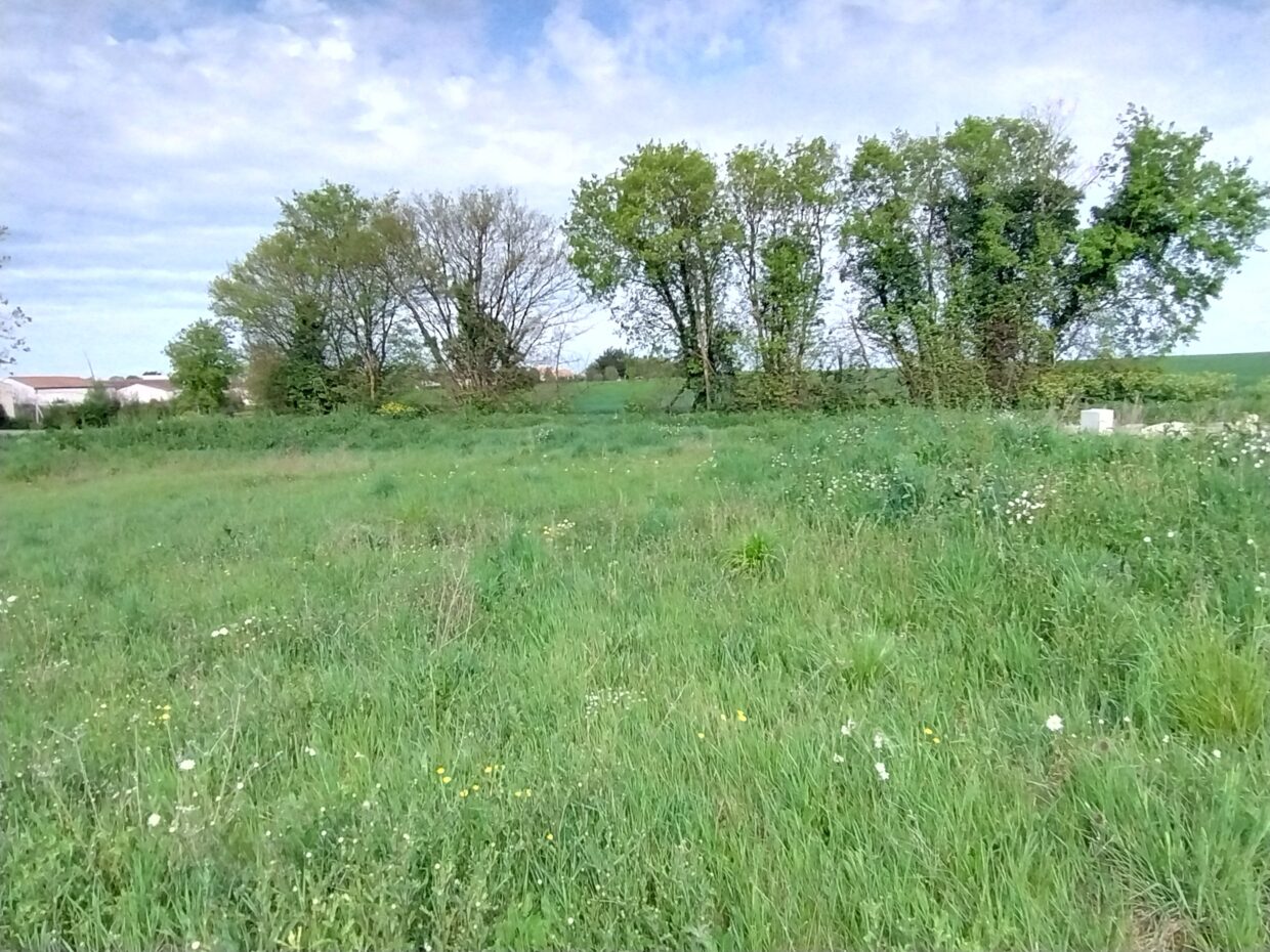 Terrain constructible Sainte-soulle  (Charente-Maritime 17)