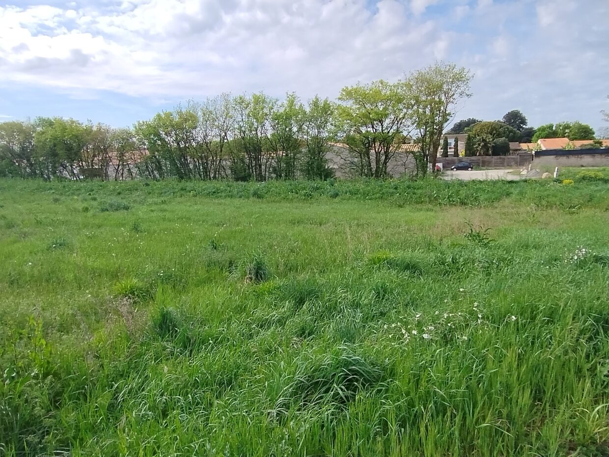Terrain constructible Sainte-soulle  (Charente-Maritime 17)