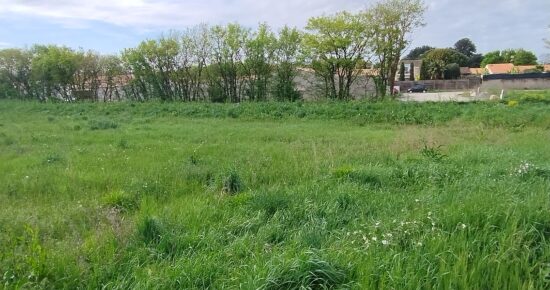 Terrain constructible Sainte-soulle  (Charente-Maritime 17)