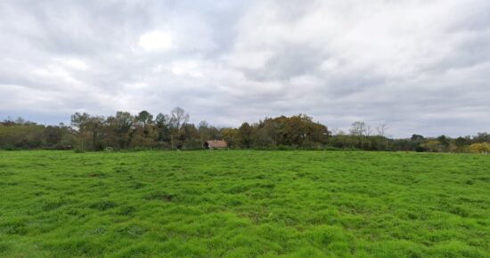 Terrain constructible Villandraut  (Gironde 33)
